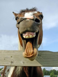 Obrazek