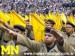 Hizbollah nazi 2.JPG